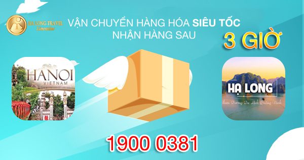 Vận chuyển hàng hoá Hạ Long - Hà Nội 3 Thumbnail hoa toc copy